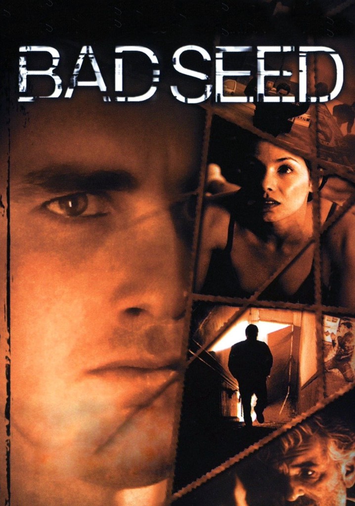 Bad Seed poster