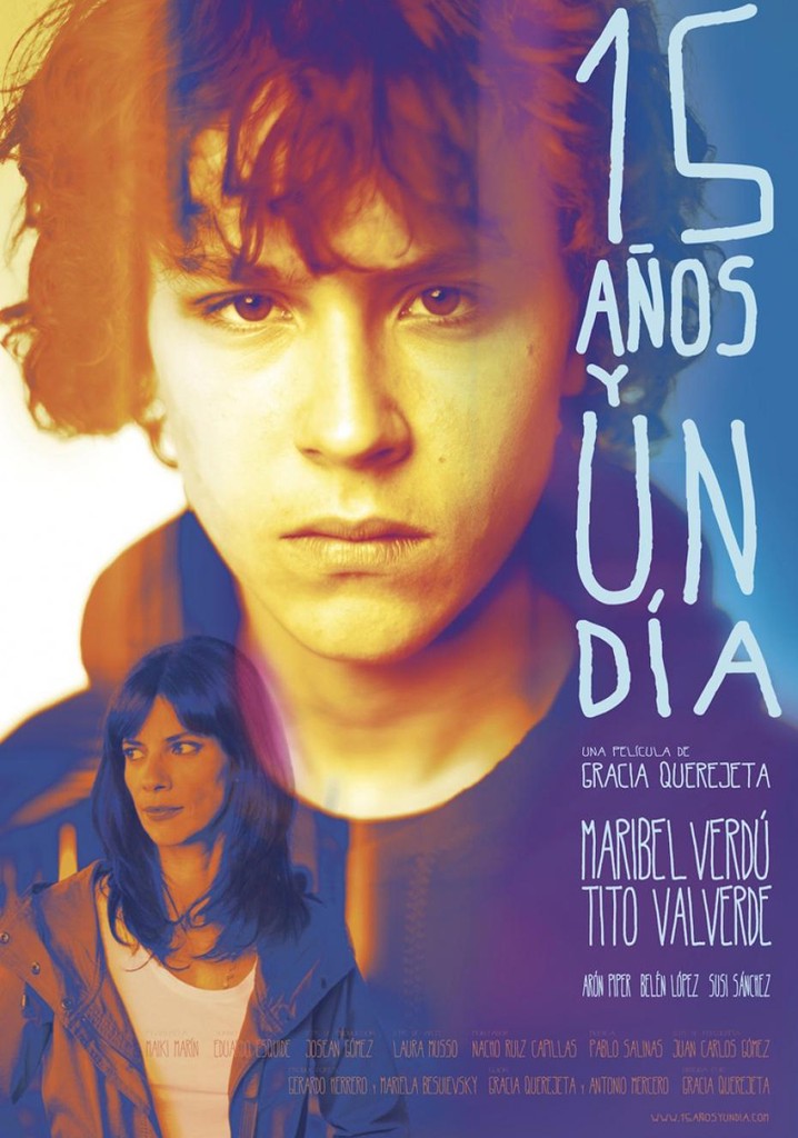 15 Years and One Day poster