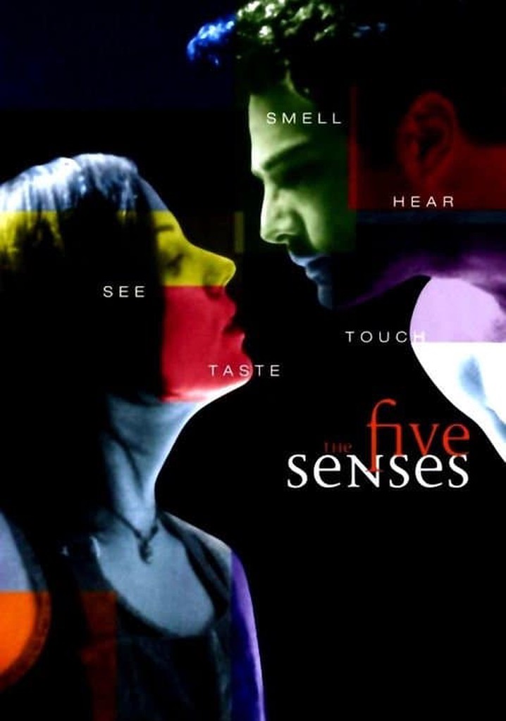 The Five Senses poster