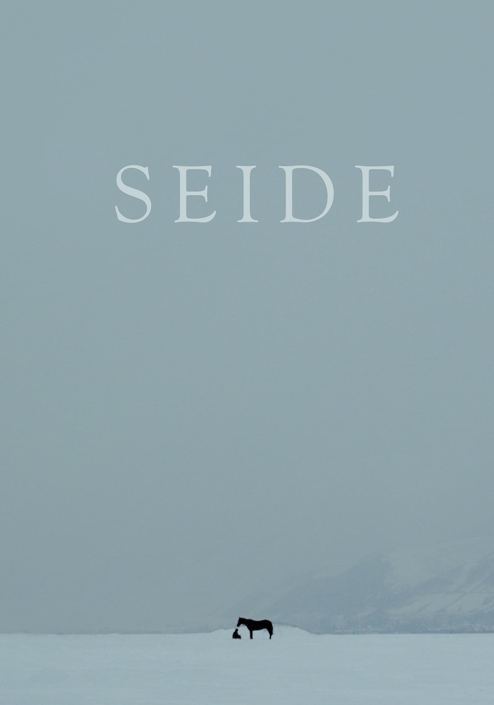 Seide poster