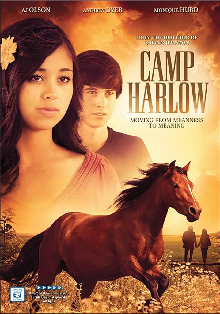 Camp Harlow poster