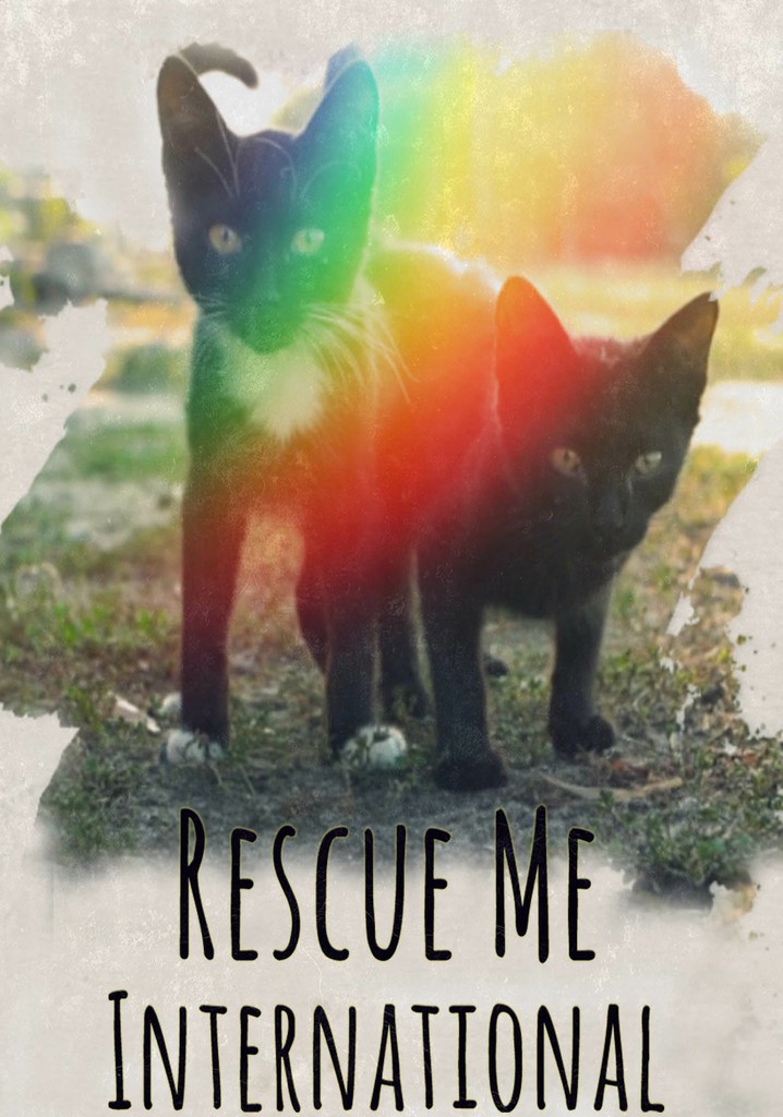 Rescue Me: International poster