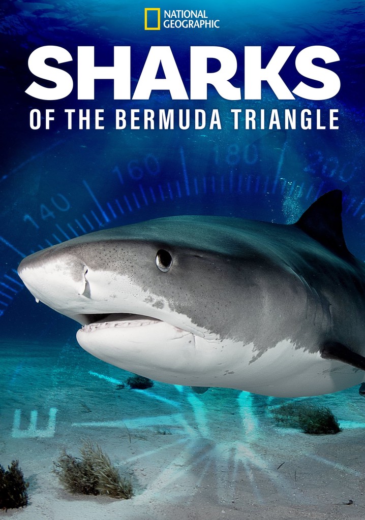 Sharks of the Bermuda Triangle poster