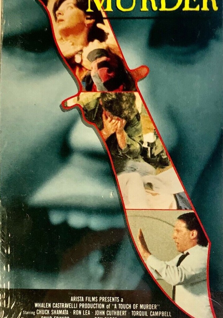 A Touch of Murder poster