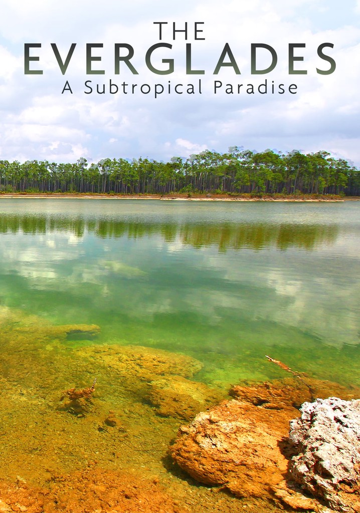 National Parks Exploration Series: The Everglades poster