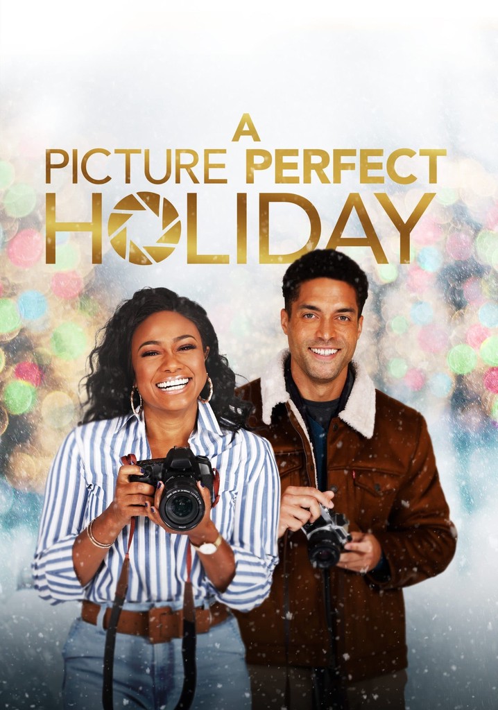 A Picture Perfect Holiday poster