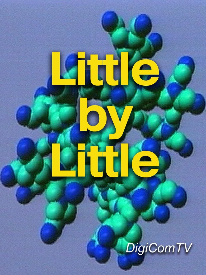 Little By Little poster
