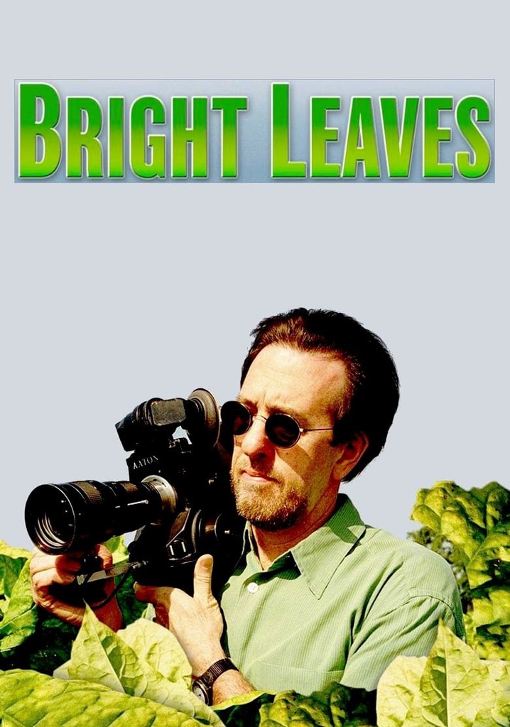 Bright Leaves poster