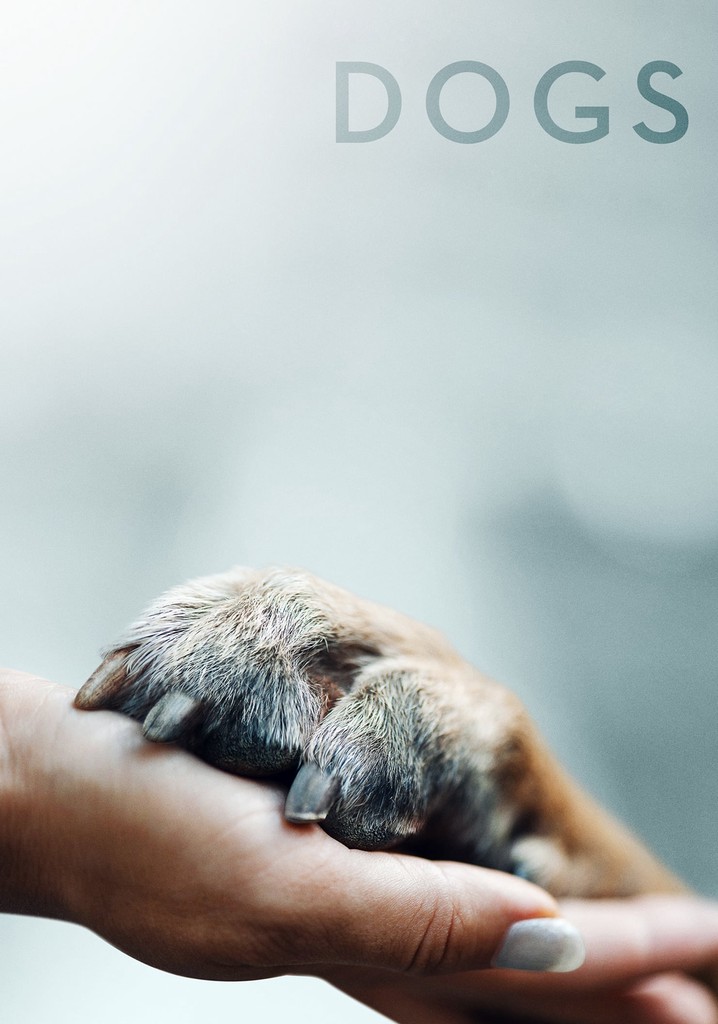 Dogs poster