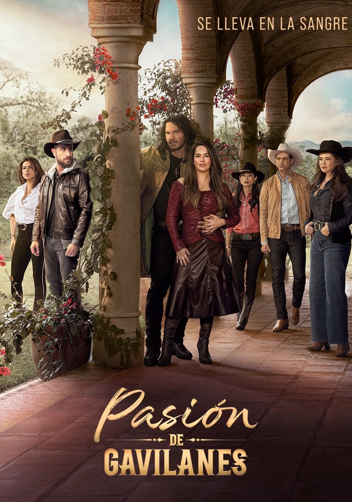 Pasión de Gavilanes poster