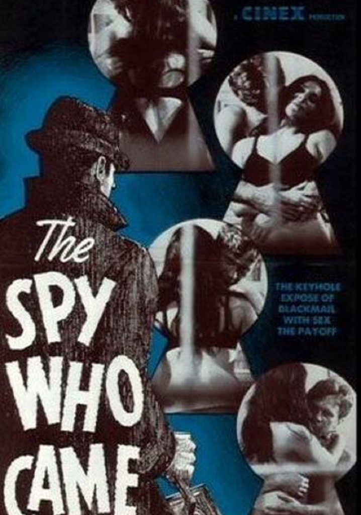 The Spy Who Came poster