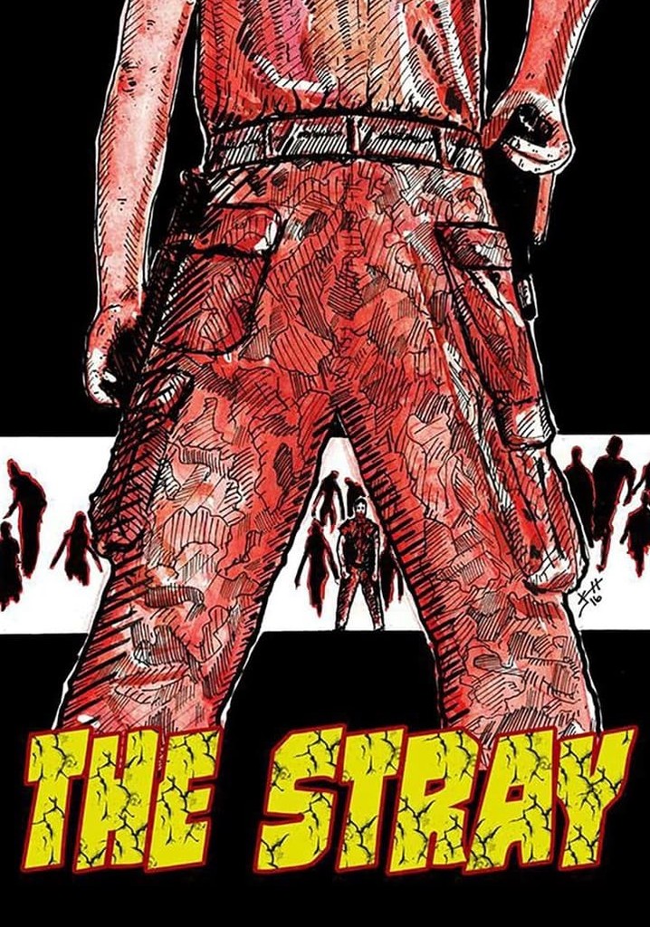 The Stray poster