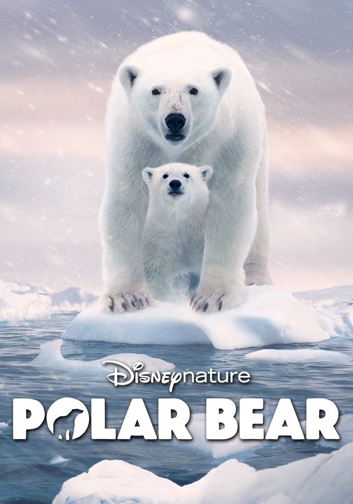 Polar Bear poster
