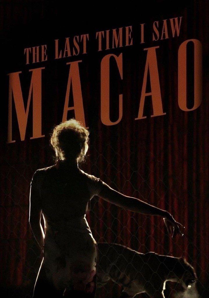 The Last Time I Saw Macao poster