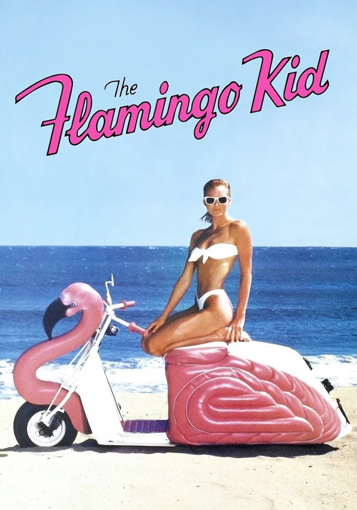 The Flamingo Kid poster