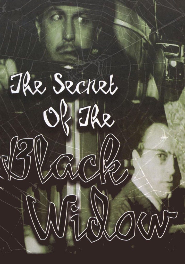 The Secret of the Black Widow poster