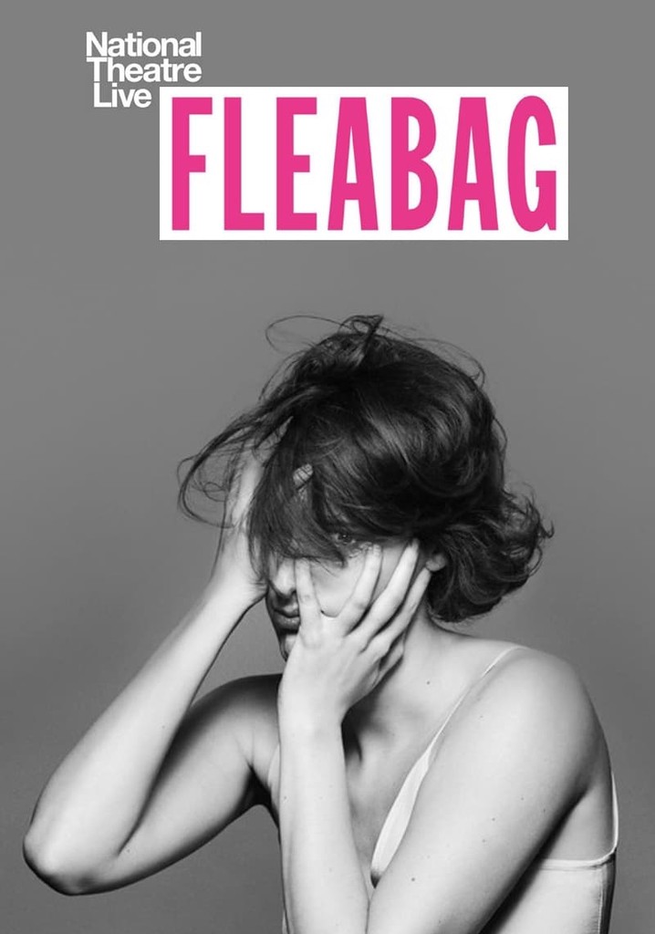 National Theatre Live: Fleabag poster
