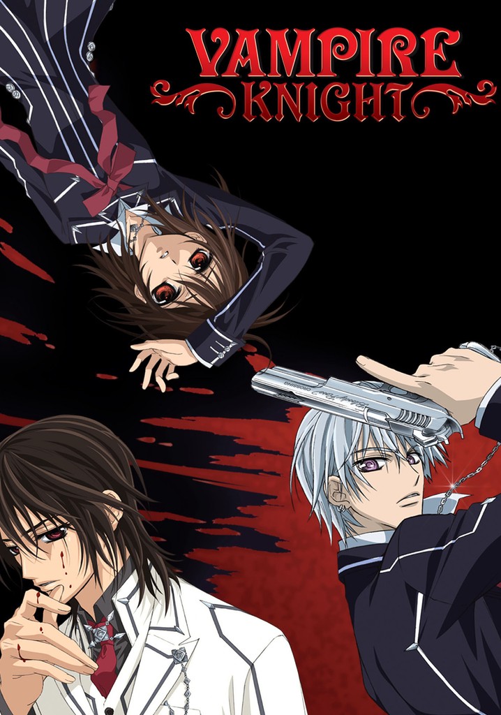 Vampire Knight poster