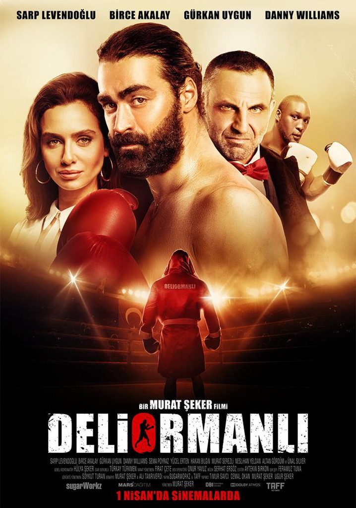 Deliormanlı poster