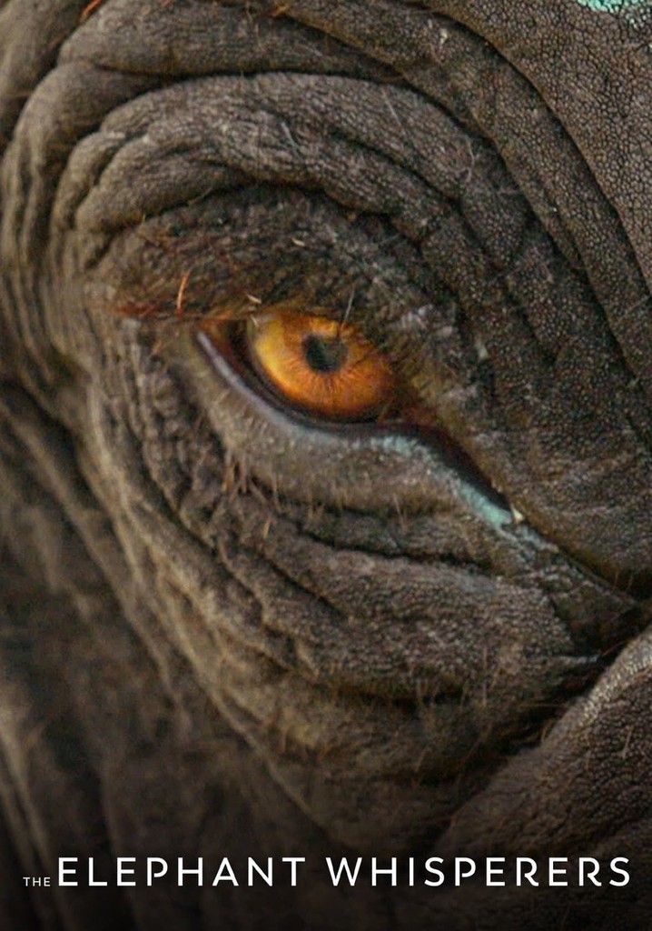 The Elephant Whisperers poster