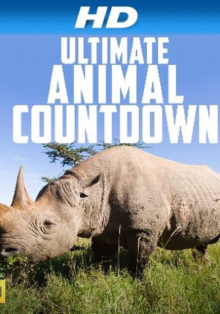 Ultimate Animal Countdown poster