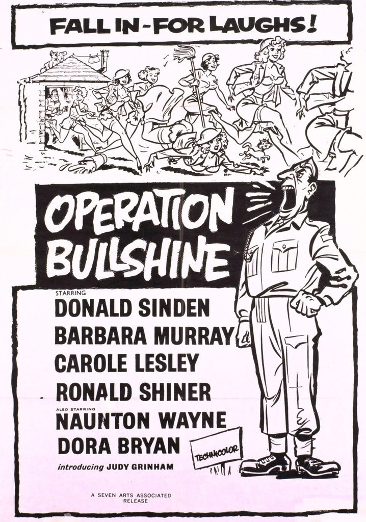 Operation Bullshine poster