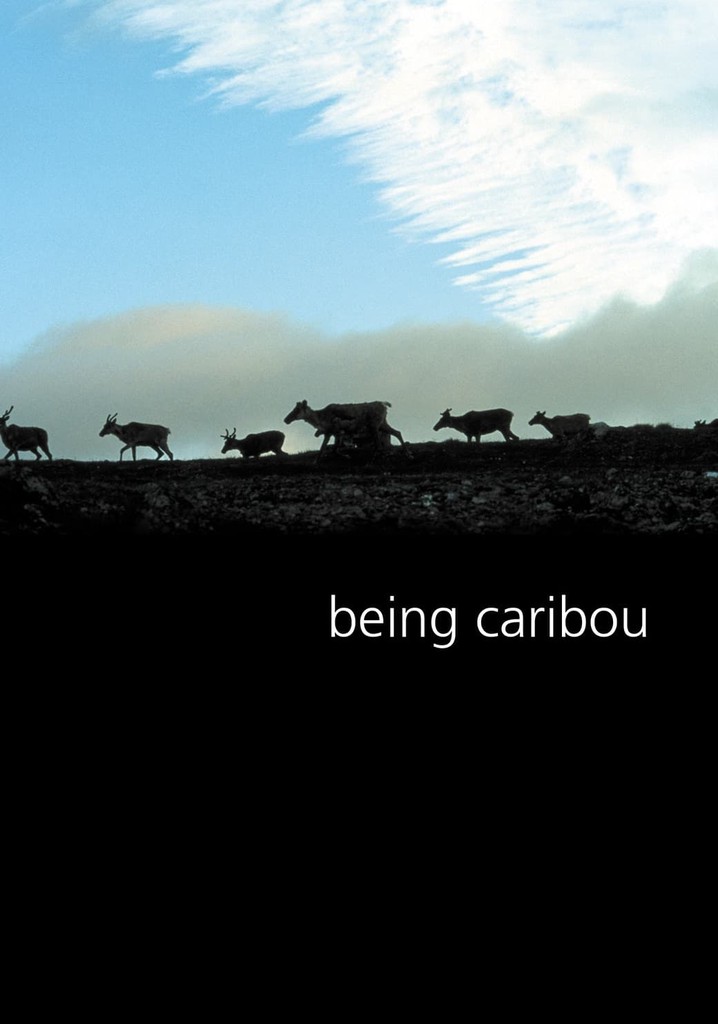 Being Caribou poster