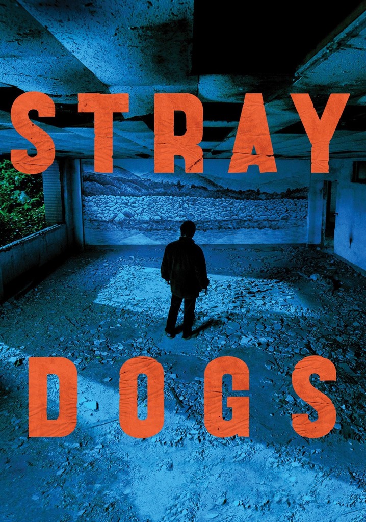 Stray Dogs poster