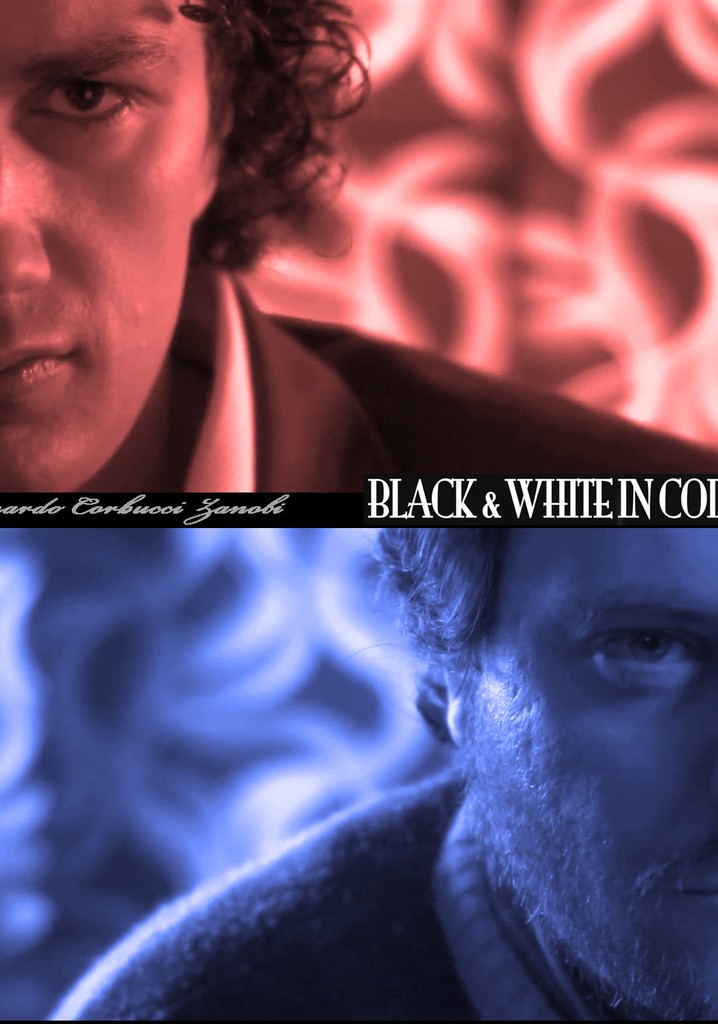 Black & White in Colors poster