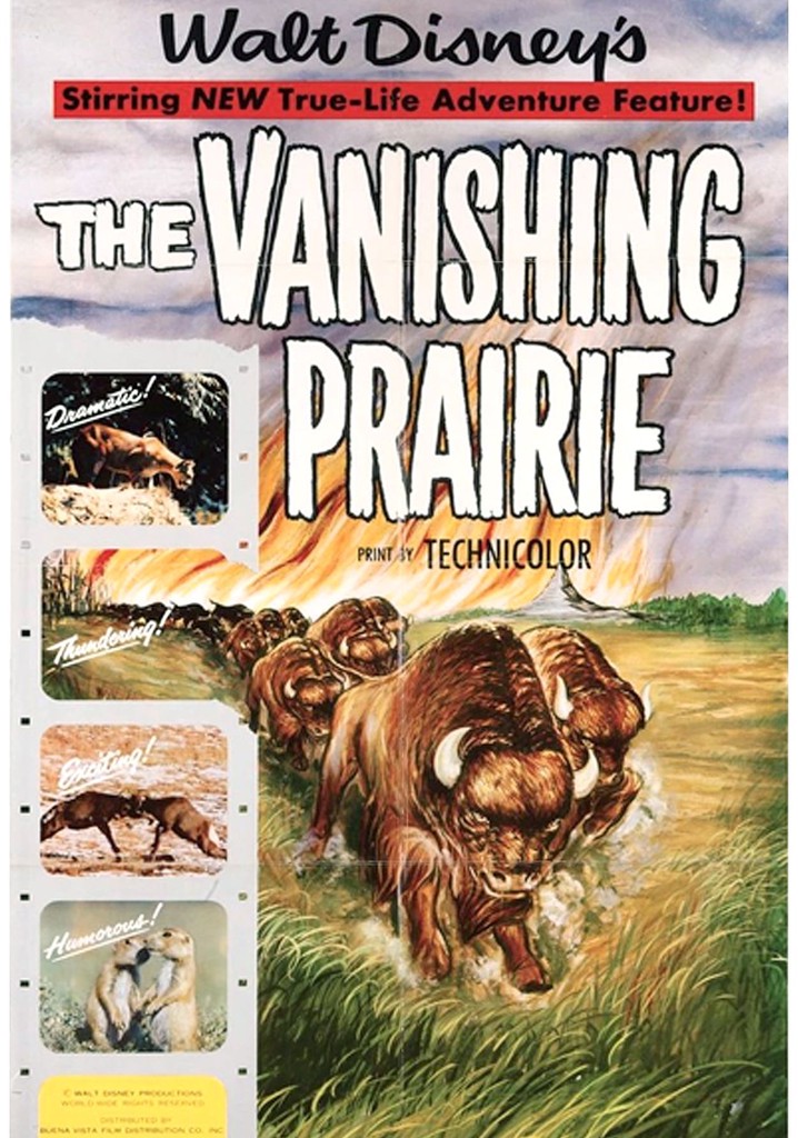 The Vanishing Prairie poster