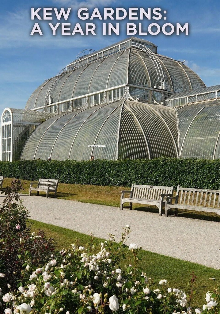 Kew Gardens: A Year in Bloom poster