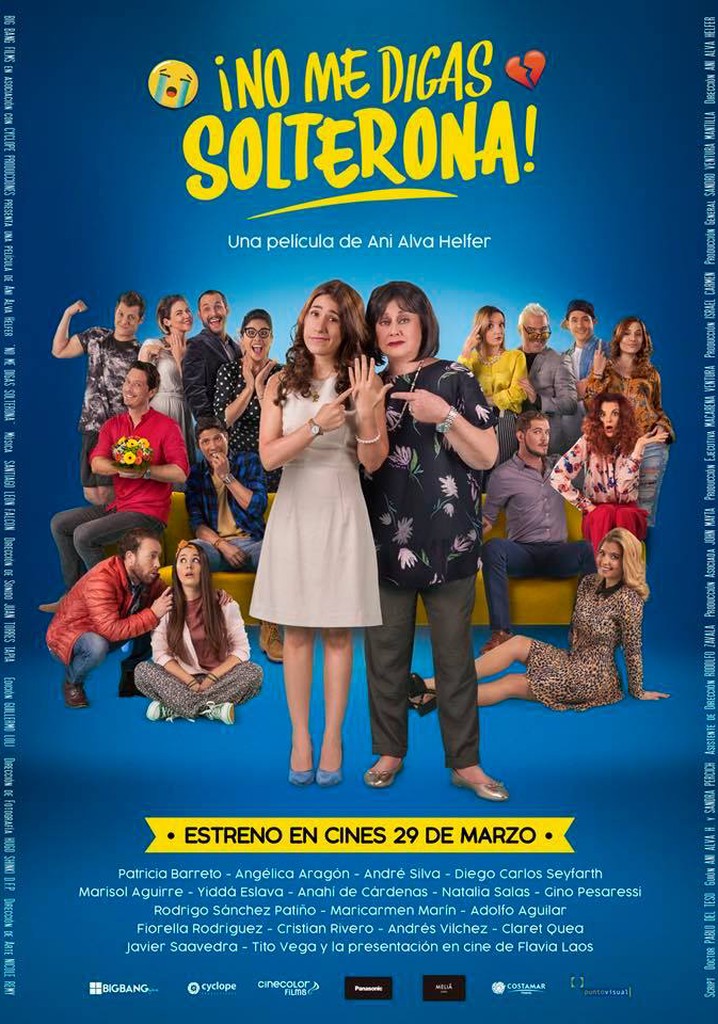 Don't Call Me Spinster poster