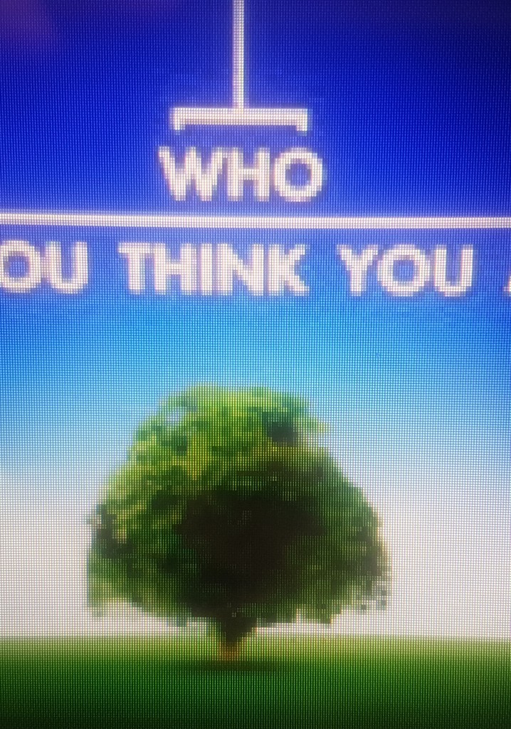 Who Do You Think You Are? poster