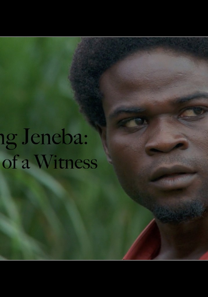 An Education: The Story of a Witness poster