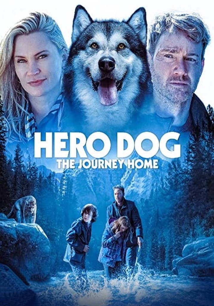 Hero Dog: The Journey Home poster