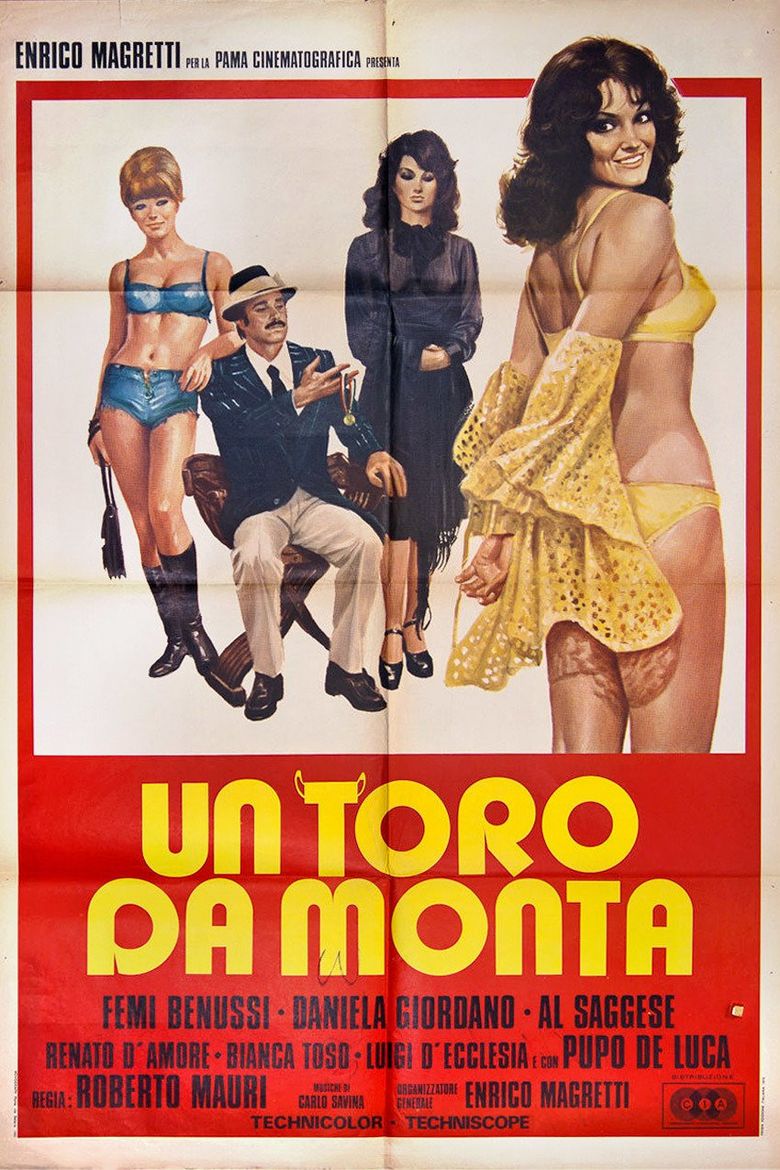 Un toro da monta poster
