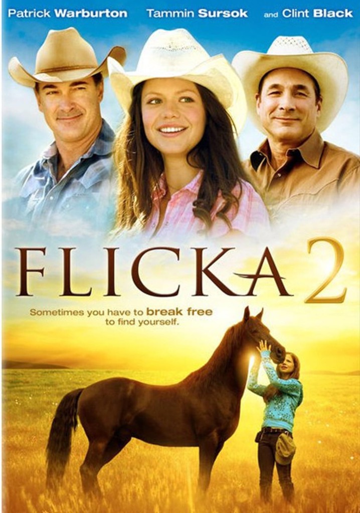 Flicka 2 poster