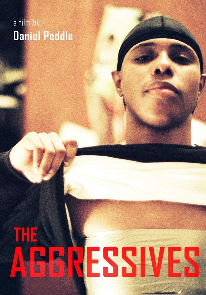 The Aggressives poster