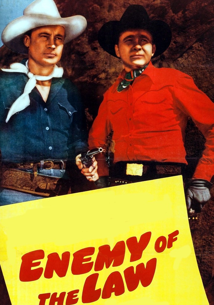 Enemy of the Law poster