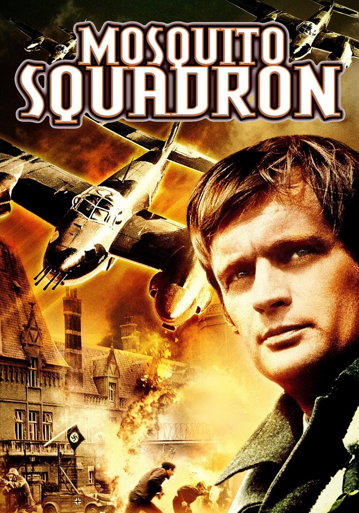 Mosquito Squadron poster