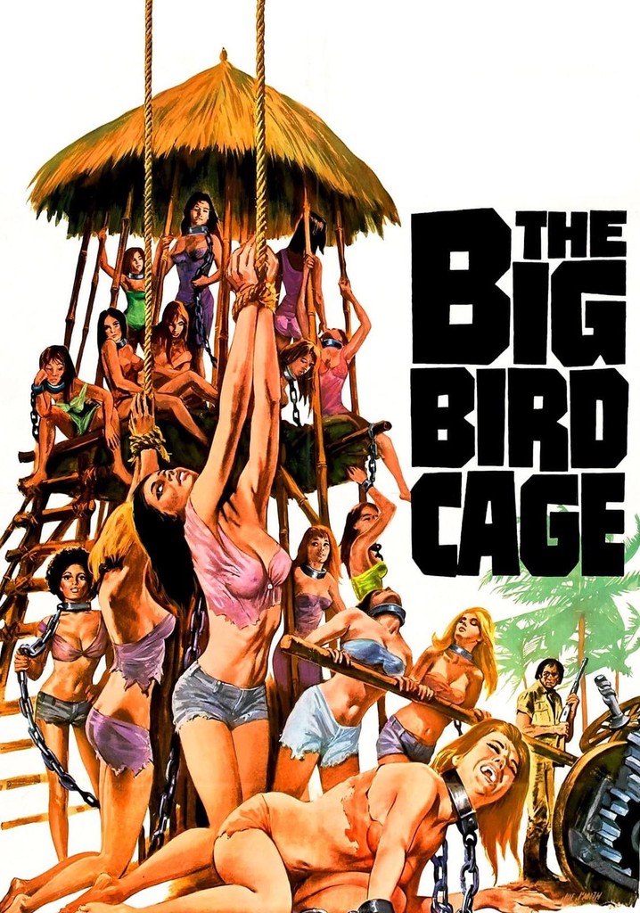 The Big Bird Cage poster