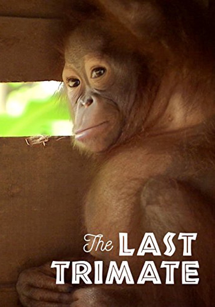 The Last Trimate poster
