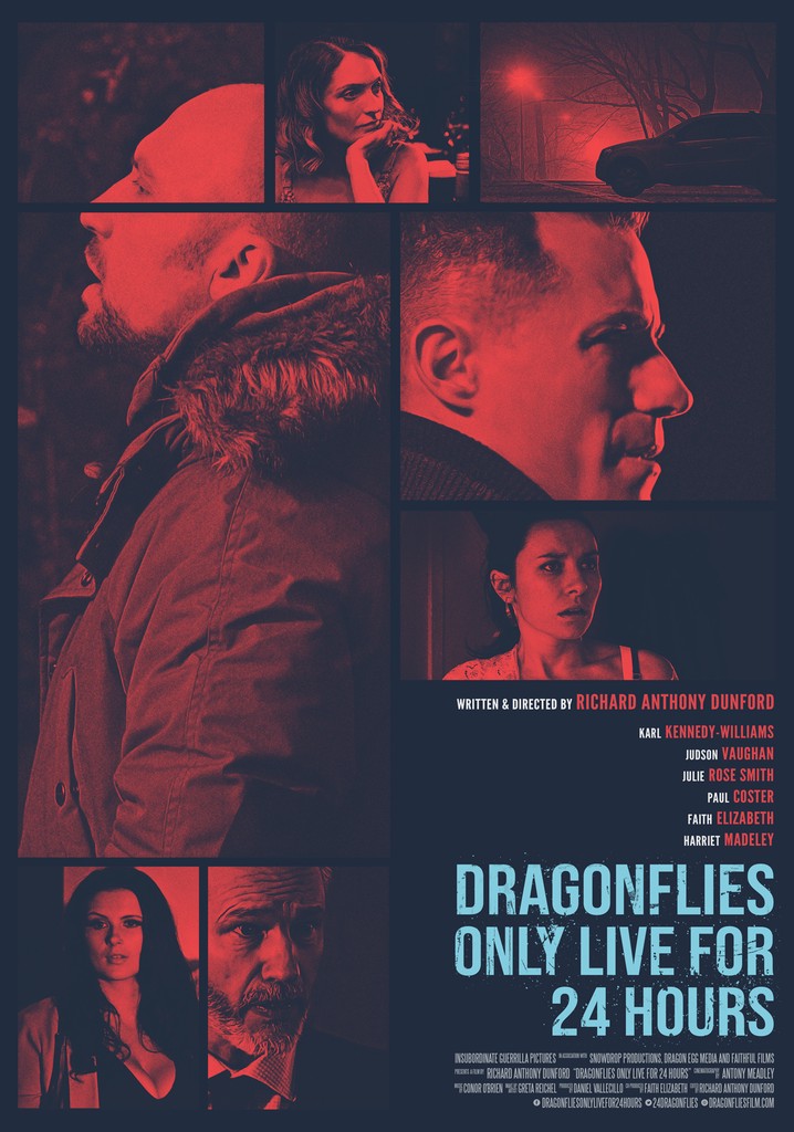 Dragonflies Only Live for 24 Hours poster