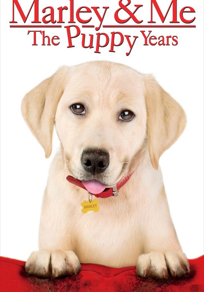 Marley & Me: The Puppy Years poster