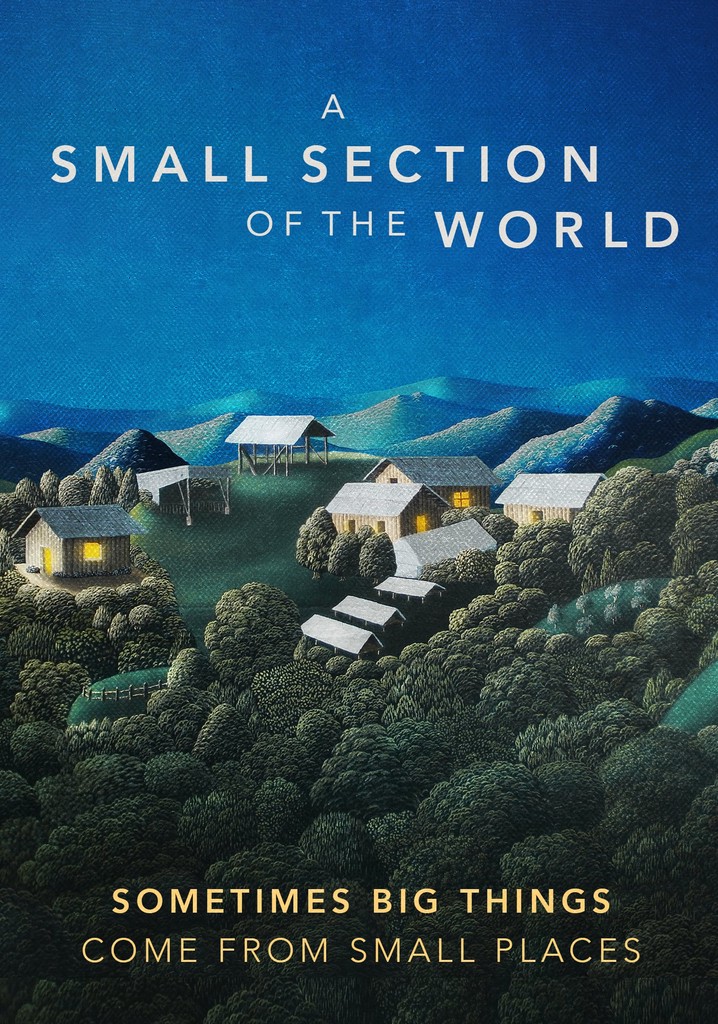 A Small Section of the World poster