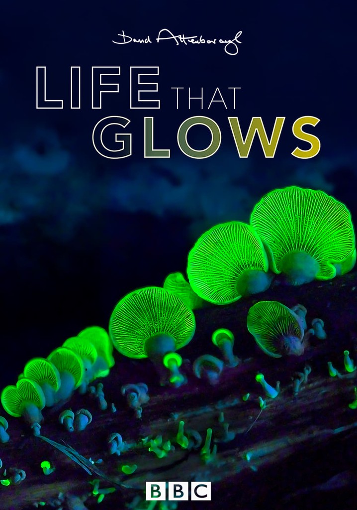 Attenborough's Life That Glows poster