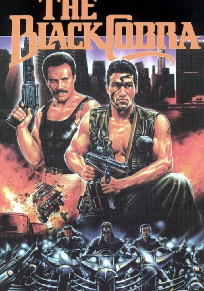 The Black Cobra poster