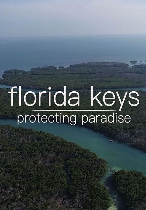 Florida Keys: Protecting Paradise poster