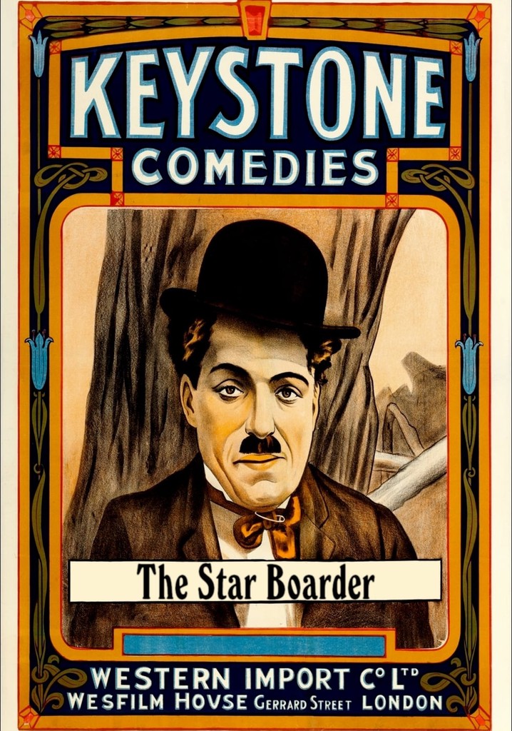 The Star Boarder poster