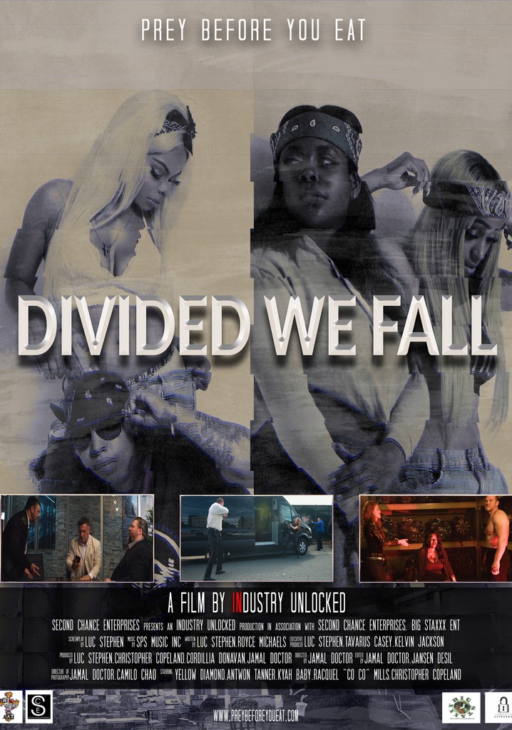 Divided We Fall poster